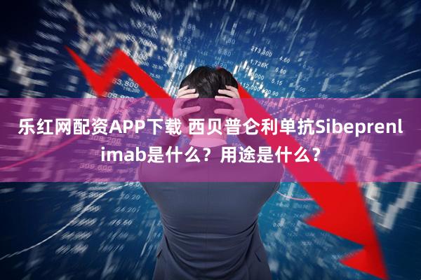 乐红网配资APP下载 西贝普仑利单抗Sibeprenlimab是什么？用途是什么？